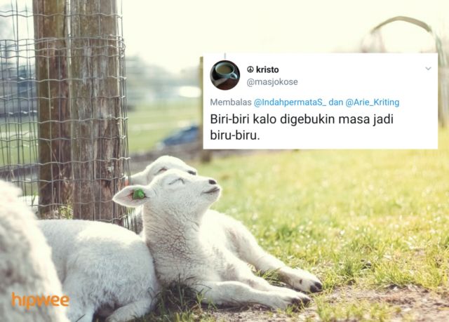 Begini Jadinya Kalau para Binatang ini Dinamai Sesuai dengan Keadaan dan Situasi. Malah Kocak sih!