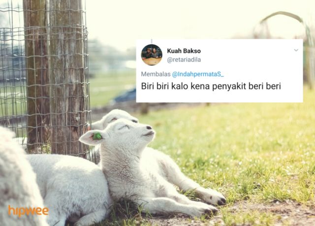 Begini Jadinya Kalau para Binatang ini Dinamai Sesuai dengan Keadaan dan Situasi. Malah Kocak sih!