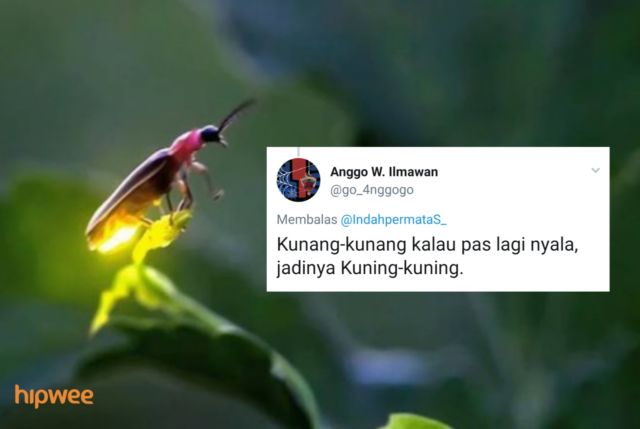 Begini Jadinya Kalau para Binatang ini Dinamai Sesuai dengan Keadaan dan Situasi. Malah Kocak sih!