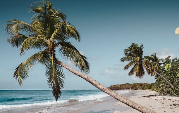 5 Tempat Wisata Pantai di Jogja yang Eksotis dan Masih Terjaga Keindahannya