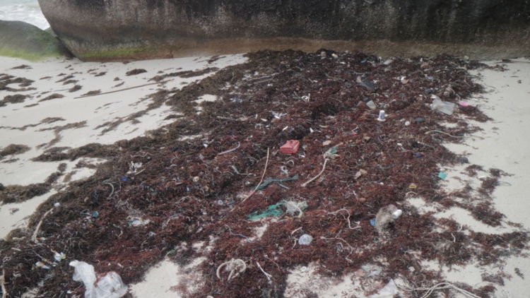 Banyak Sampah Berserakan di Pantai Tanjung Tinggi. Negeri Laskar Pelangi Kok Jadi Kotor Begini?