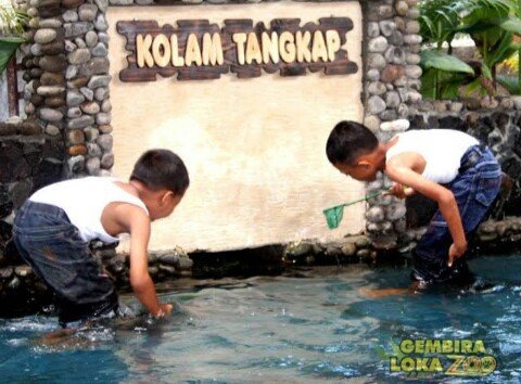 Kolam Tangkap GL Zoo Yogyakarta