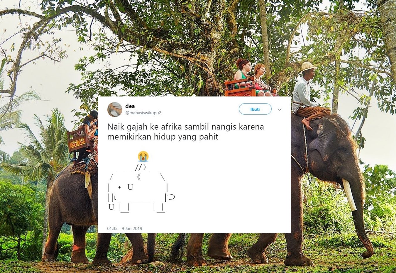 Jangan Liat dari Recehnya, Kisah “Naik Gajah ke Afrika” ini Bukti Warganet Bisa Bersatu Karena Humor~