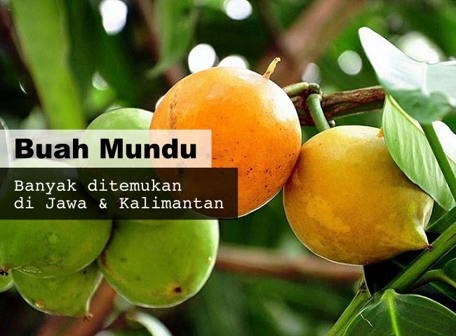 8 Buah Asli Indonesia yang Namanya Masih Jarang Dikenal. Padahal Enak Banget, Ada yang Pernah Coba?