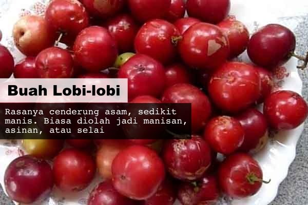 8 Buah Asli Indonesia yang Namanya Masih Jarang Dikenal. Padahal Enak Banget, Ada yang Pernah Coba?