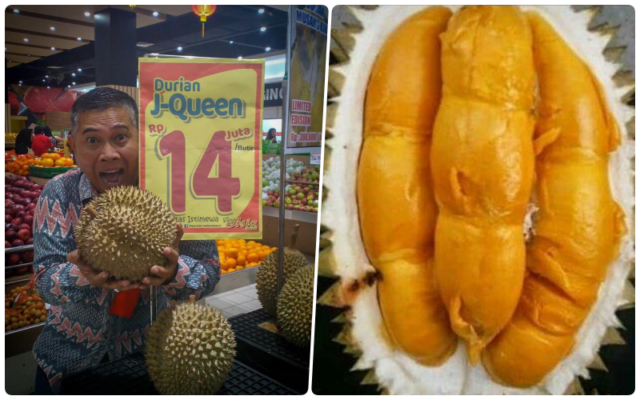 4 Alasan Masuk Akal Kenapa Durian J-Queen Bisa Dihargai Sampai Rp14 Juta. Langsung Laku Juga Lo