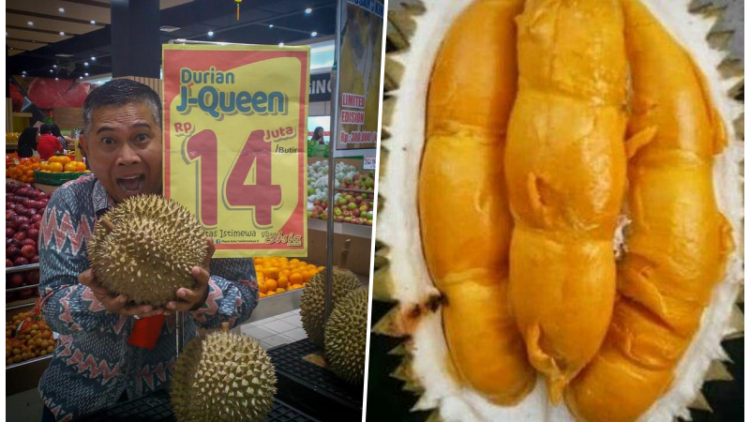 4 Alasan Masuk Akal Kenapa Durian J-Queen Bisa Dihargai Sampai Rp14 Juta. Langsung Laku Juga Lo