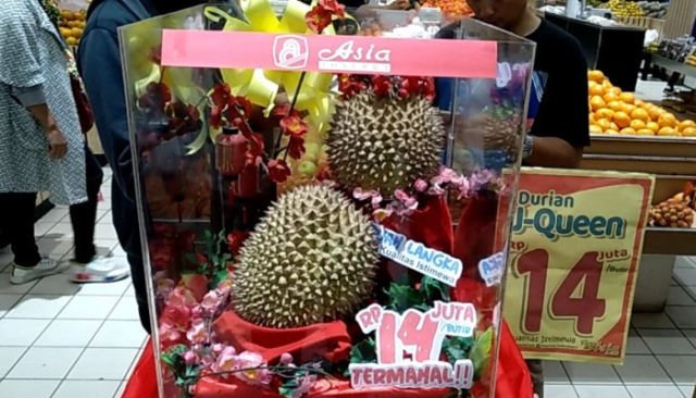 4 Alasan Masuk Akal Kenapa Durian J-Queen Bisa Dihargai Sampai Rp14 Juta. Langsung Laku Juga Lo