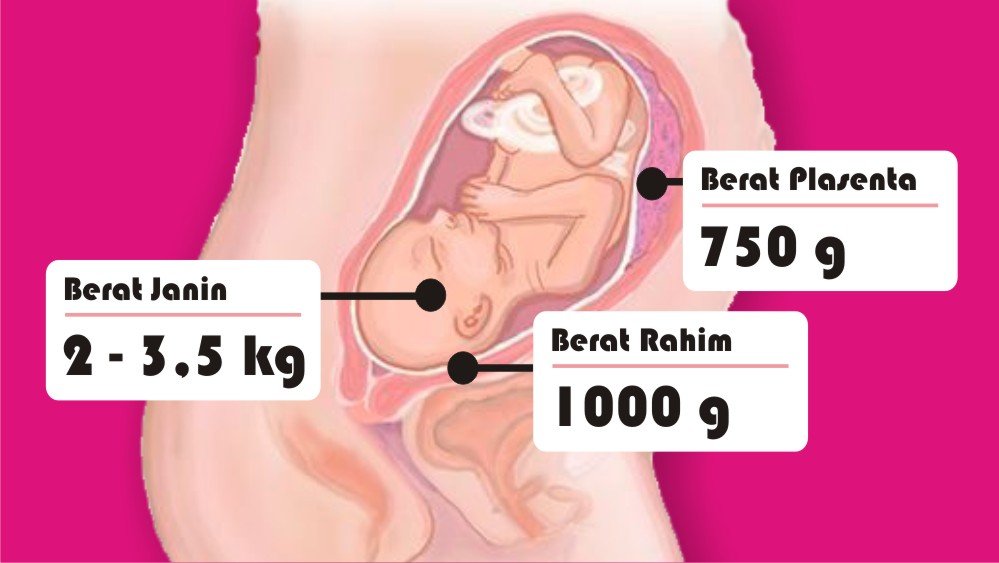 8 Asal Muasal Penambahan Berat Badan Ibu Hamil. Penasaran kan Kenapa Bisa Naik Belasan Kilo?