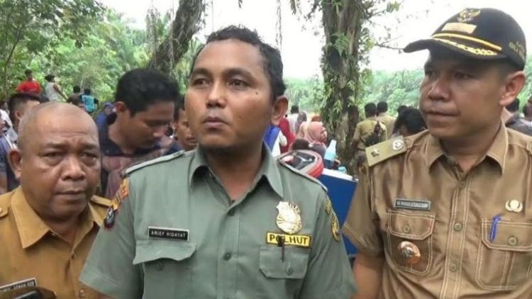 Dua Lumba-lumba Punggung Bungkuk Kesasar di Sungai Kualuh Sumut. Sementara, Diduga Karena Air Pasang