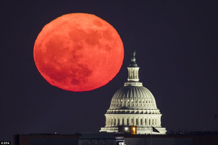 Supermoon Akan Kembali Datang. Tapi BMKG Malah Ingatkan Potensi Pasang Maksimum Air Laut. Hati-hati!