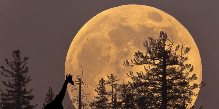 Supermoon Akan Kembali Datang. Tapi BMKG Malah Ingatkan Potensi Pasang Maksimum Air Laut. Hati-hati!