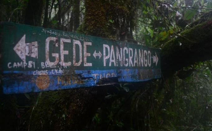 Kisah Misteri Pendakian Gunung Gede Pangrango