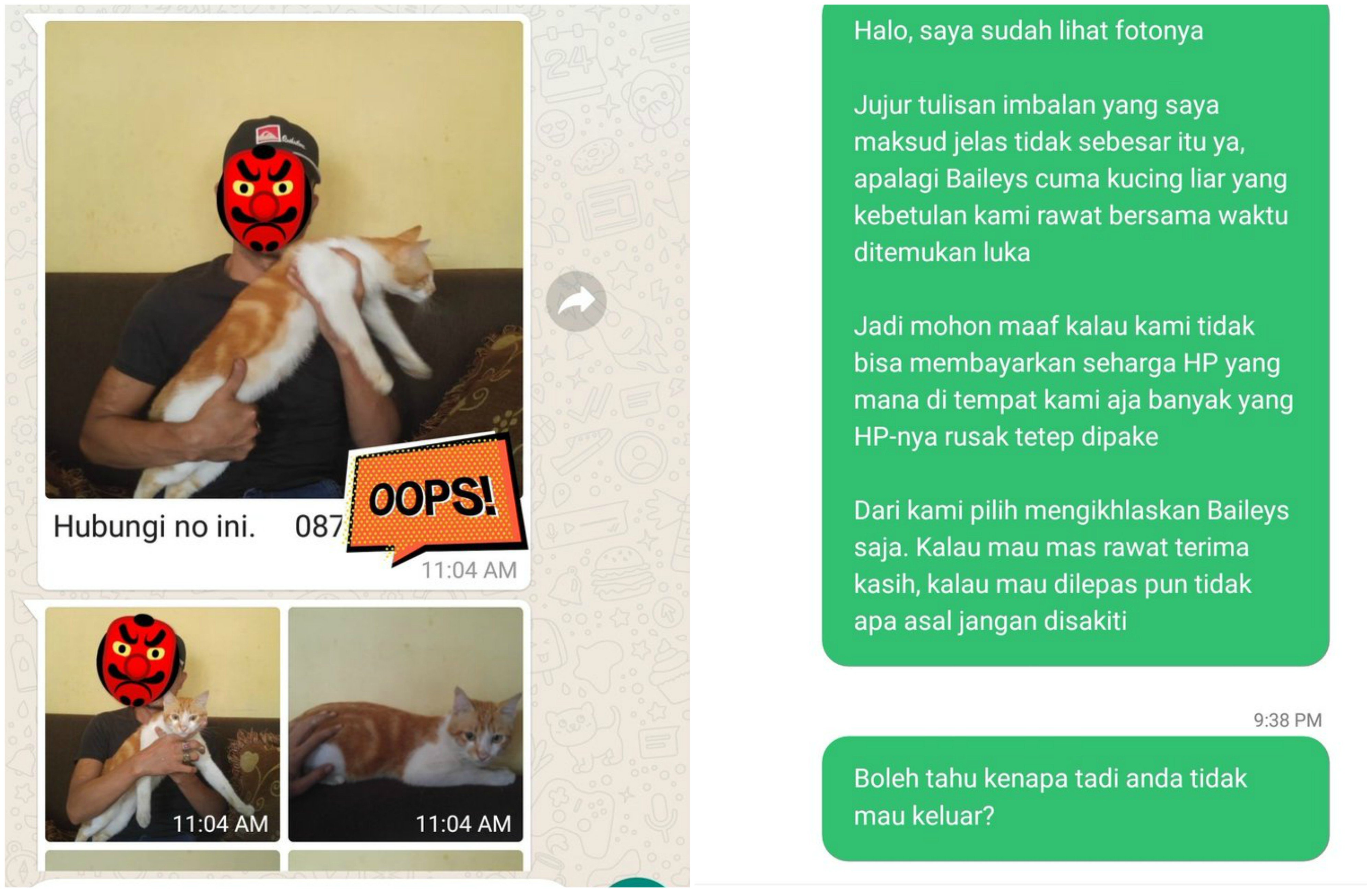 Kucing Kesayangan Hilang, si Penemu Minta Imbalan Berupa Ponsel pada Pemilik. Ini Ikhlas Nggak sih?