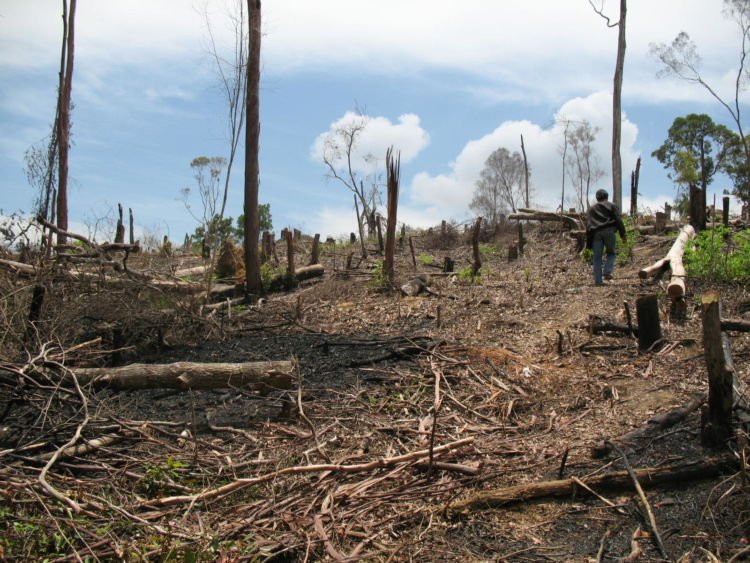 Pak Sutopo Ungkap Prediksi Bencana Tahun 2019. Bencana Hidrometeorologi Katanya Bakal Mendominasi