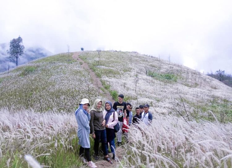 Bukit Mongkrang, Spot Padang Ilalang Hits di Karanganyar. Kerasa Kaya Lagi Foto di Luar Negeri!