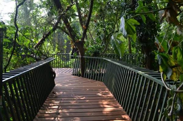 Rekomendasi 7 Tempat Menangis Terbaik di Bandung. Cocok buat Segala Jenis Air Mata Kesedihan~