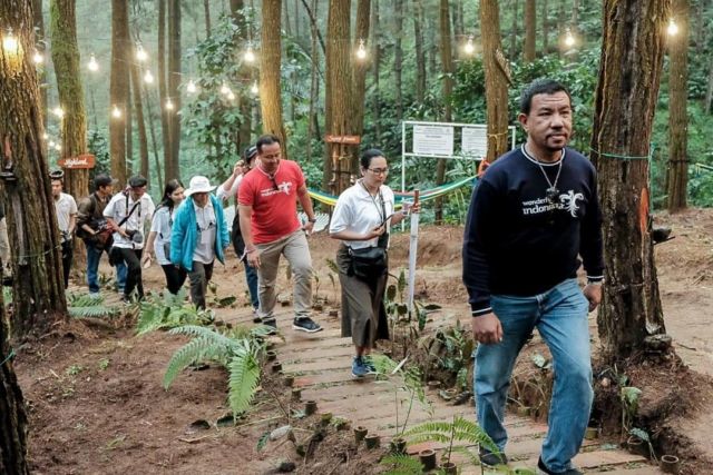 Glamping Hutan Pinus Purworejo Sudah Dibuka. Rasakan Kenikmatan Camping yang Naik Levelnya!