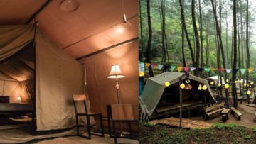 Glamping Hutan Pinus Purworejo Sudah Dibuka. Rasakan Kenikmatan Camping yang Naik Levelnya!