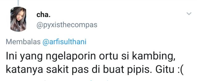 13+ Reaksi Kocak Warganet Soal Kambing yang Diperkosa Pria Atas Dasar Suka sama Suka. Ngaco! :D