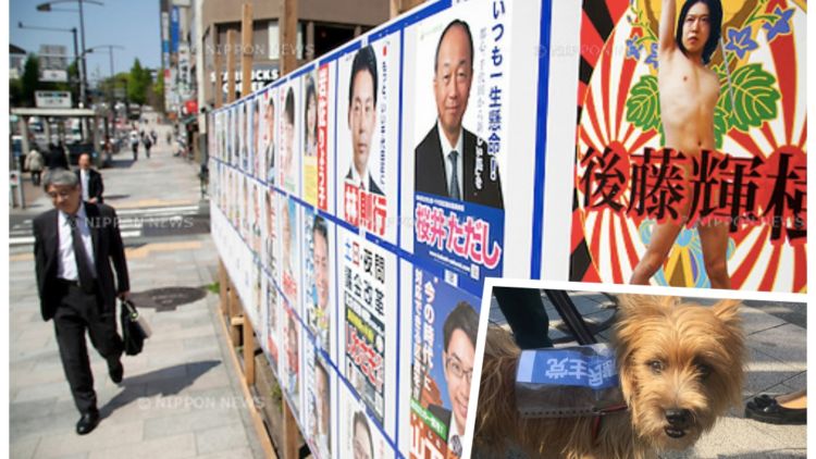 13 Kampanye Politik Unik Jepang. Dari Pakai Poster Begini, Sampai Tempel Brosur di Punggung Anjing