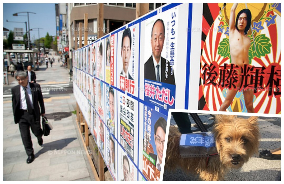 13 Kampanye Politik Unik Jepang. Dari Pakai Poster Begini, Sampai Tempel Brosur di Punggung Anjing