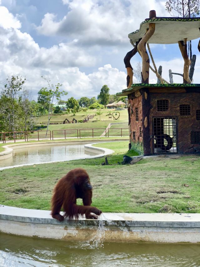 7 Destinasi Wisata di Bintan yang Wajib Didatangi. Mulai Pantai Pasir Putih Sampai Gurun Pasir Ada Semua!