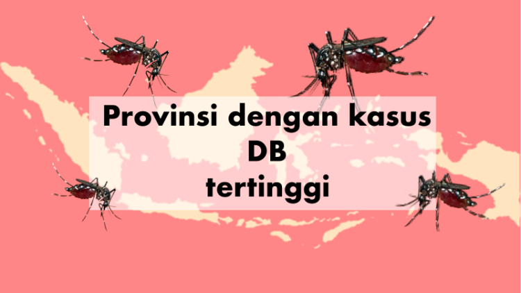 10 Wilayah dengan Kasus Demam Berdarah Tertinggi. Buruan Cek, Jangan-jangan Daerahmu Termasuk