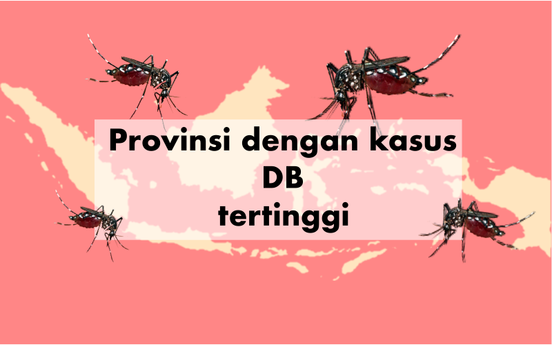 10 Wilayah dengan Kasus Demam Berdarah Tertinggi. Buruan Cek, Jangan-jangan Daerahmu Termasuk