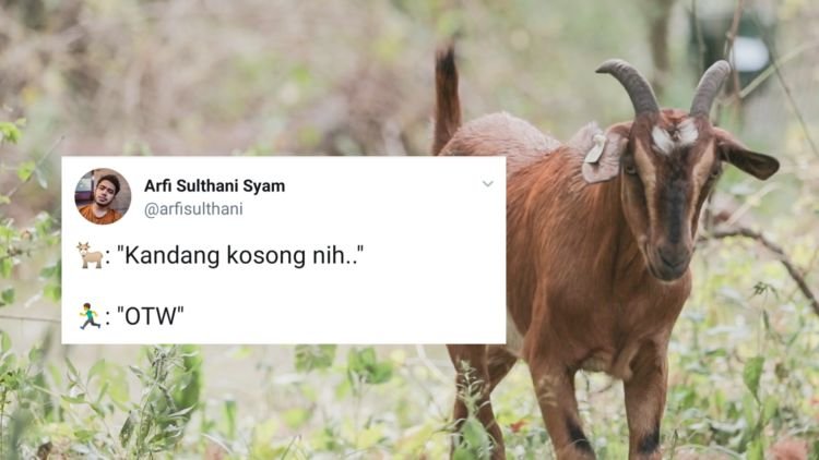 13+ Reaksi Kocak Warganet Soal Kambing yang Diperkosa Pria Atas Dasar Suka sama Suka. Ngaco! :D