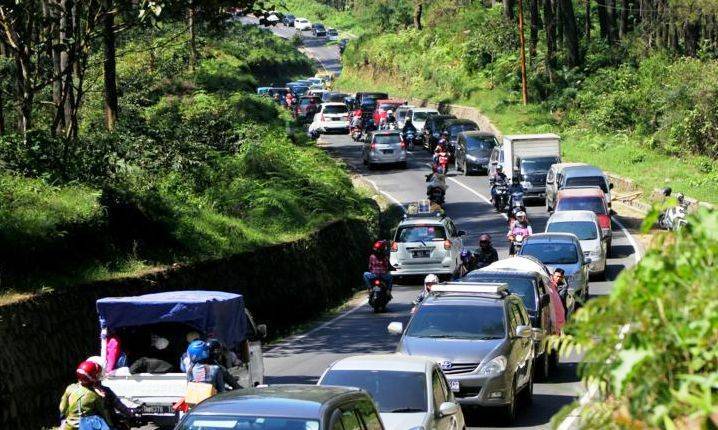 10 Usulan Perbaikan buat Lalala Fest Tahun Depan. Biar Musik, Hutan, dan Penontonnya Tetap Aman