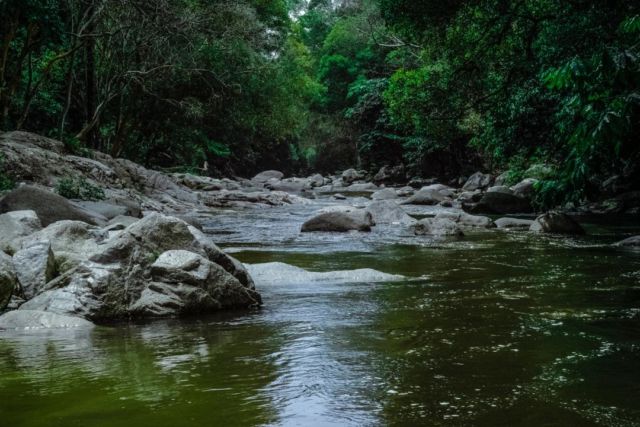 Suku Togutil Tinggal Dekat Aliran Sungai