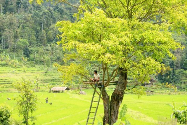 Desa Wisata Sepakung, Spot Wisata Hits yang Memacu Adrenalin di Semarang. Alamnya Indah Banget Sih!