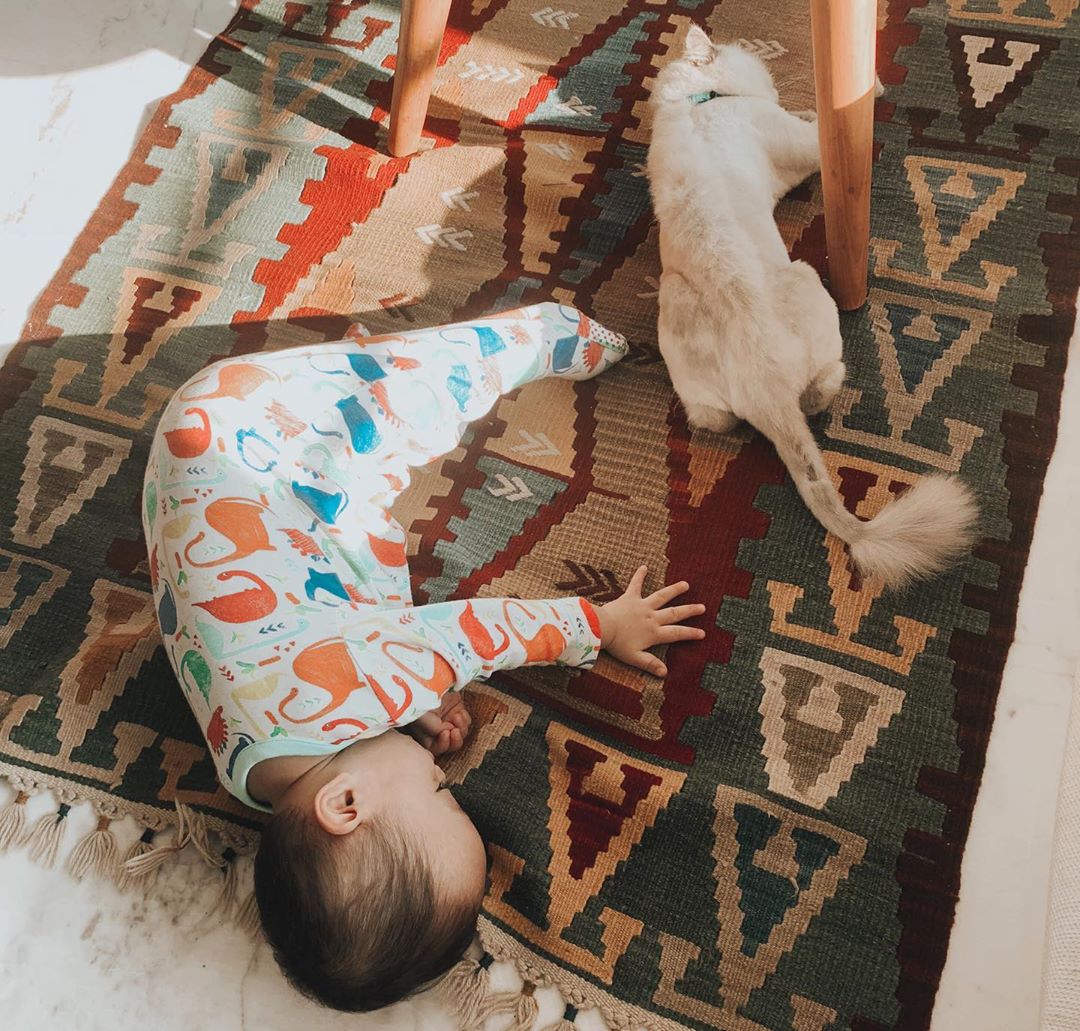 Lucunya Xabiru yang Akrab Banget Sama Kucing. Calon Jodoh Penyayang di Masa Depan Nih!