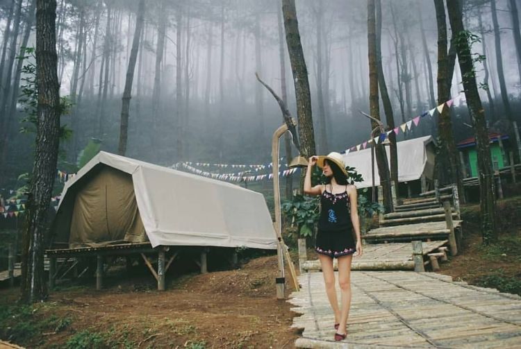 Glamping de'Loano, Wisata Alam Milenial di Purworejo. Perkemahan Mewah yang Harus Kamu Coba!