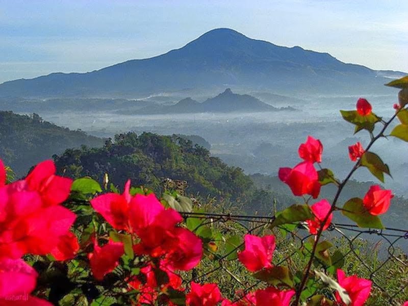 Tiga Pendaki Gunung Tampomas Ditemukan Meninggal Dunia. Tragisnya, Usianya Masih Belasan Tahun!