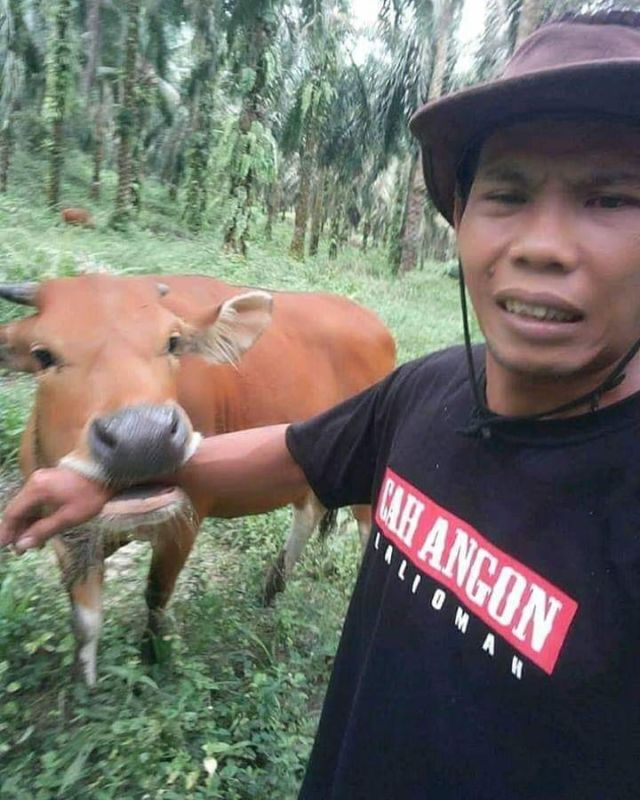 11 Potret Kocak Hewan Menantang Maut. Nekat Begini Udah Siap Masuk Surga Apa Gimana sih?