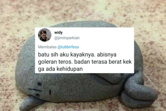 Andai Beneran Ada, Warganet Justru Bayangkan Dirinya Reinkarnasi dari 13 Hal Kocak Ini. Lawak Terooos!