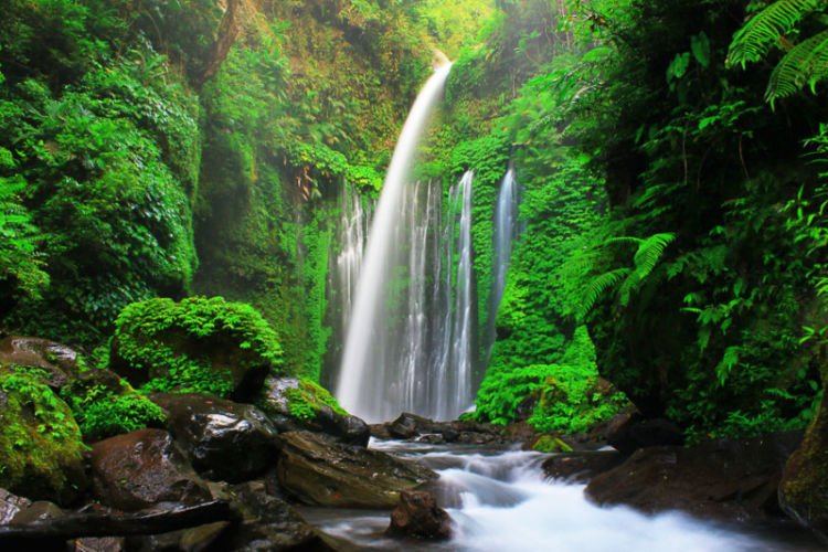 Lombok Kena Gempa Besar Lagi. Wisatawan Malaysia Jadi Korban di Air Terjun Tiu Kelep!