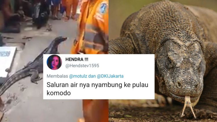 Beredar Video Petugas Oranye Temukan Biawak Jumbo, Bukannya Kaget Malah Dibercandain Warganet. Kocak!