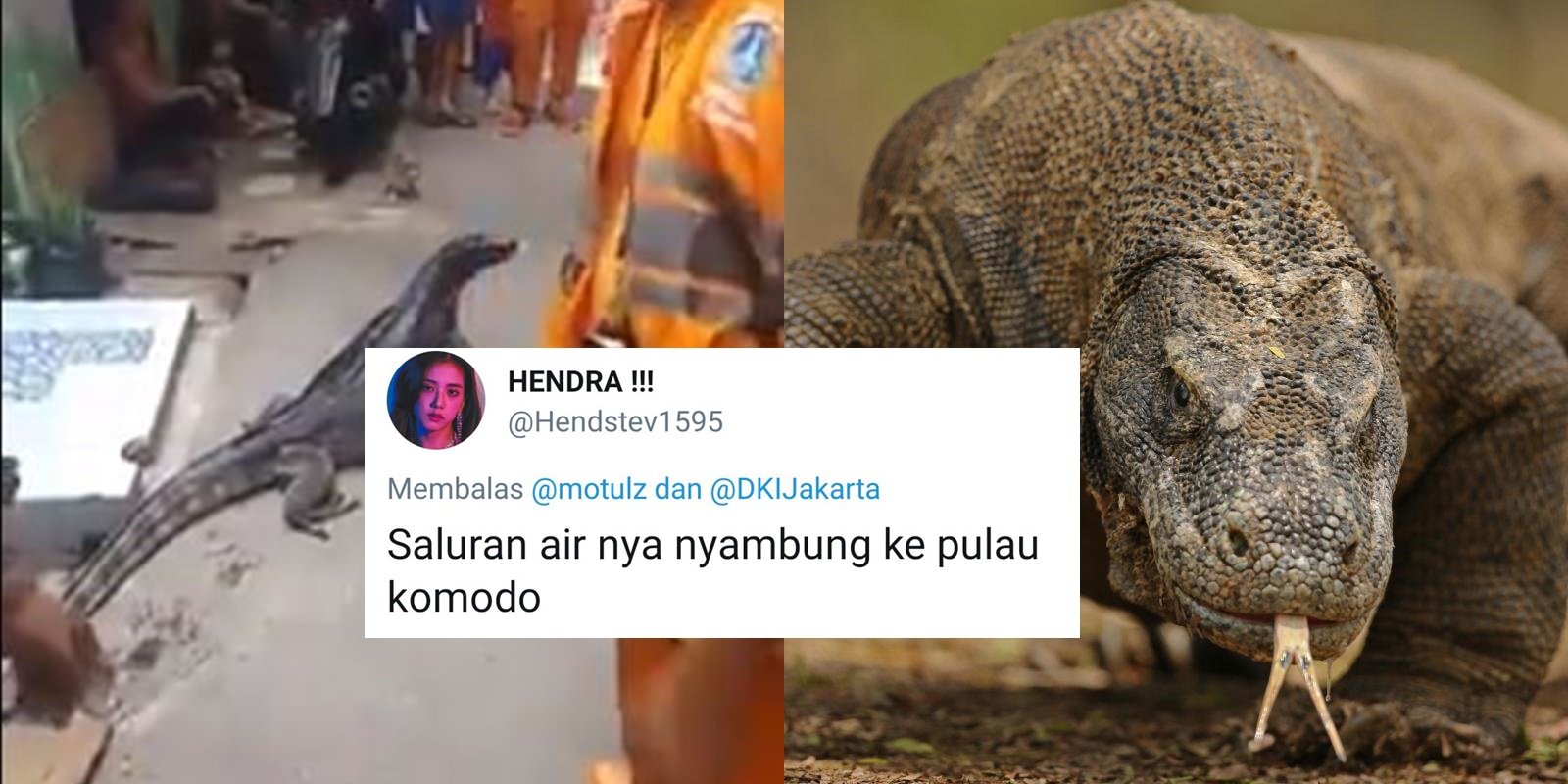 Beredar Video Petugas Oranye Temukan Biawak Jumbo, Bukannya Kaget Malah Dibercandain Warganet. Kocak!