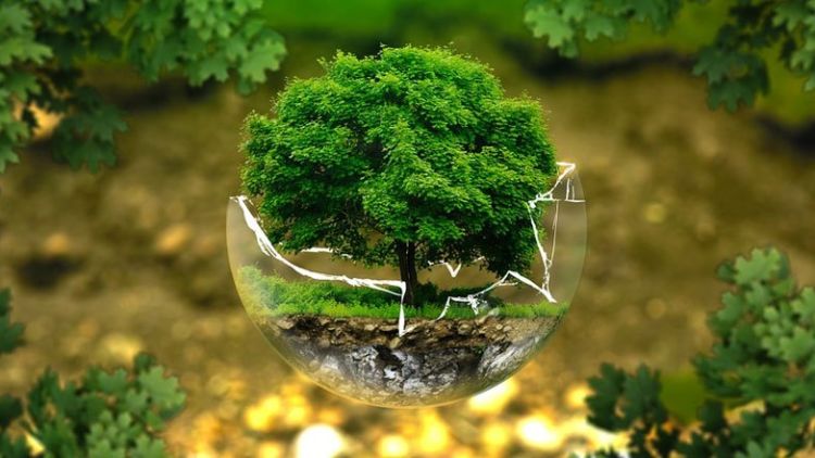 Implementasi Konsep Deep Ecology Pada CSR Berlandaskan Pancasila Sebagai Solusi Sustainable Environment