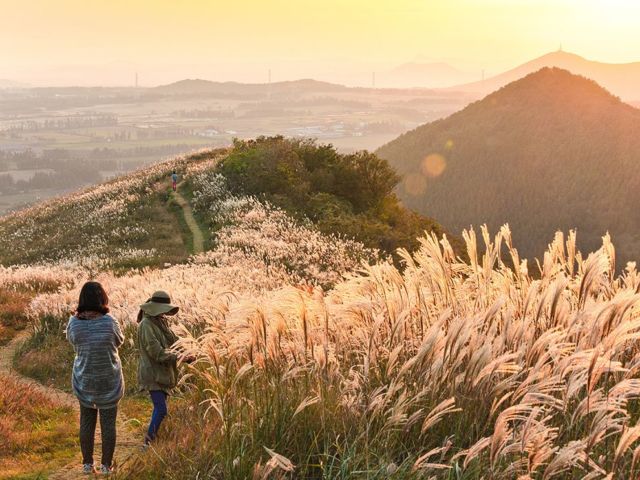 Panduan Liburan Anti Mahal ke Pulau Jeju, Korea Selatan. Nggak Butuh Visa Lho ke Sana!