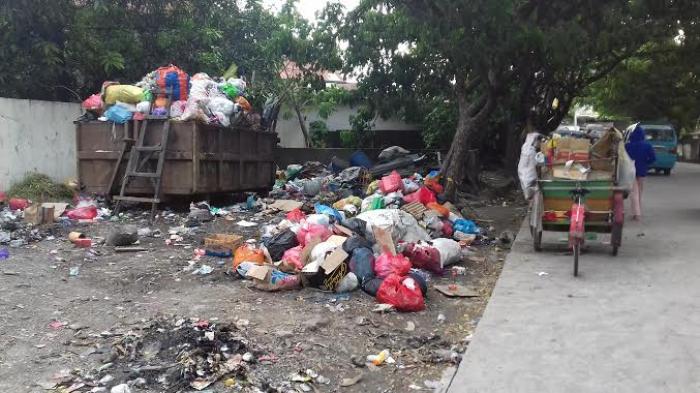 6 Cara yang Bisa Kita Lakukan untuk Selamatkan Biota Laut, Agar Tak Ada Lagi Paus Mati Karena Plastik