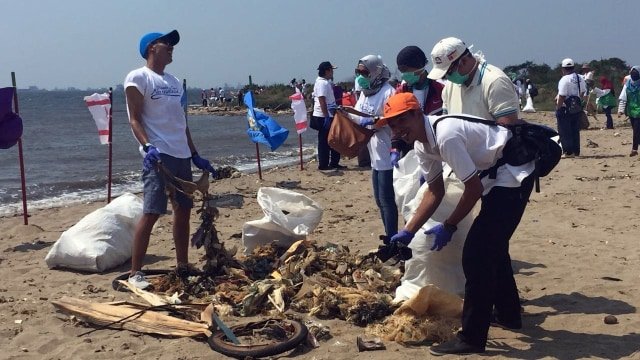 6 Cara yang Bisa Kita Lakukan untuk Selamatkan Biota Laut, Agar Tak Ada Lagi Paus Mati Karena Plastik