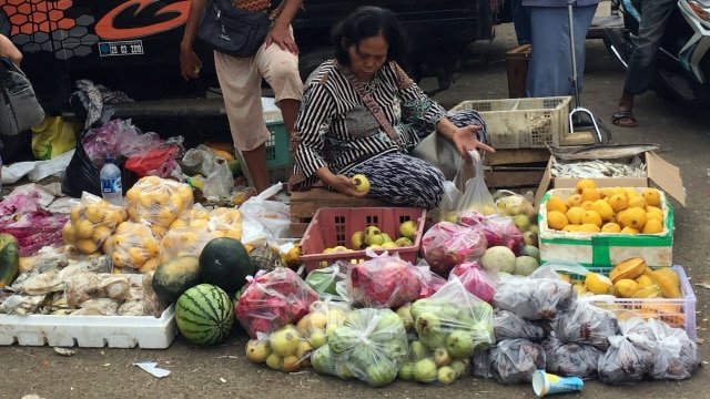 6 Cara yang Bisa Kita Lakukan untuk Selamatkan Biota Laut, Agar Tak Ada Lagi Paus Mati Karena Plastik