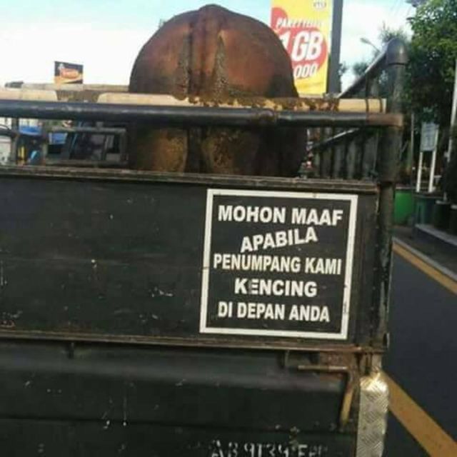 11 Kelakuan Penumpang Pick Up yang Bikin Jantung Berdebar. Jangan Biarin Emak Kita Ikut Rombongan!