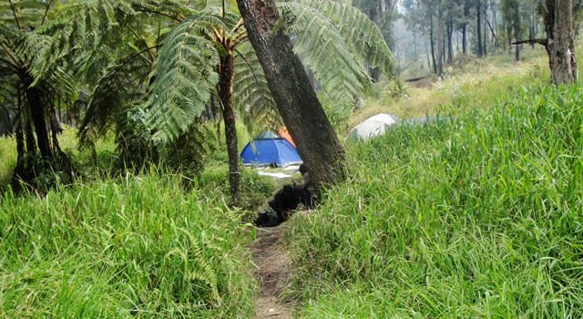 Arjuno, Gunung yang Menyimpan Banyak Kejadian Misterius di Balik Keindahannya.