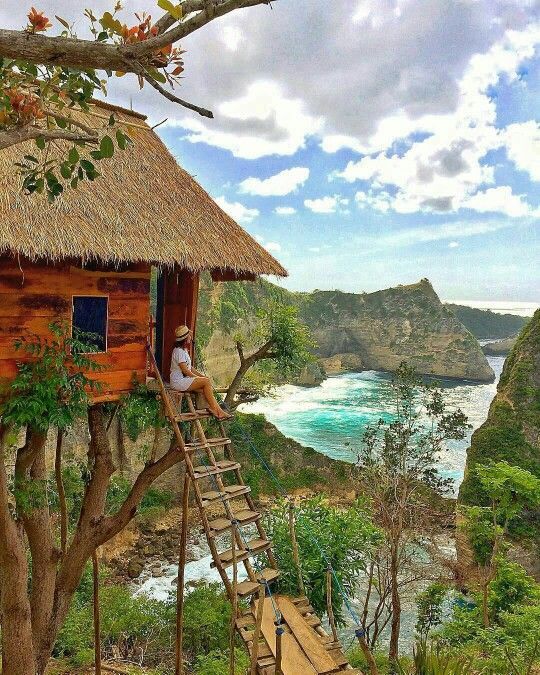 Tree House Molenteng