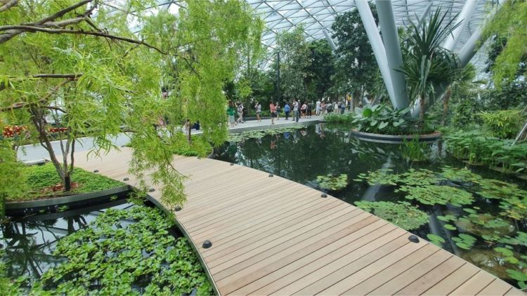 Jewel Changi Airport, Destinasi Hits Baru di Bandara Changi Singapura. Megah, Mewah, Spektakuler!